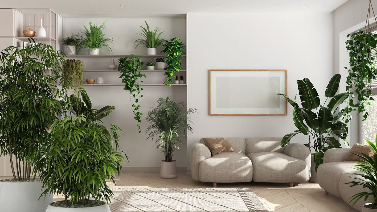 Biophilic home design with natural light and indoor plants