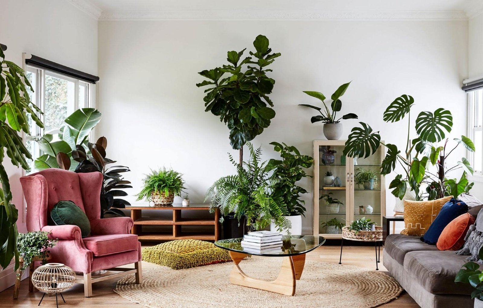 Indoor plants and greenery in bright living room