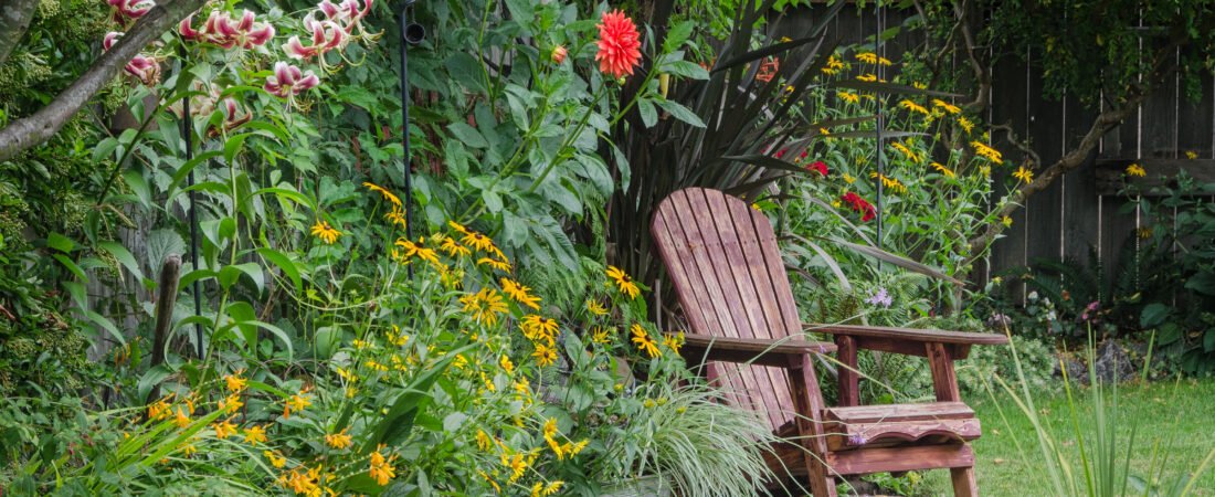 Easy Garden Improvement Ideas for Beginners