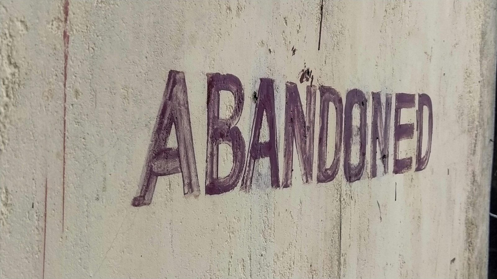 The Abandon’s Ending Explained: Who Walks Out of the Fire?